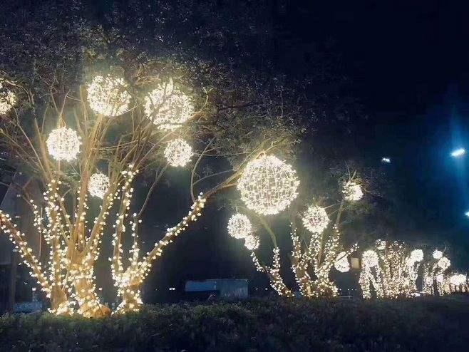 微信图片_20210105160222.jpg